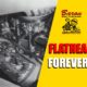 Flathead Forever? (Nov 1981 Article)